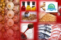Alimentos do Bem que favorecem o sistema imune e o bom funcionamento do organismo