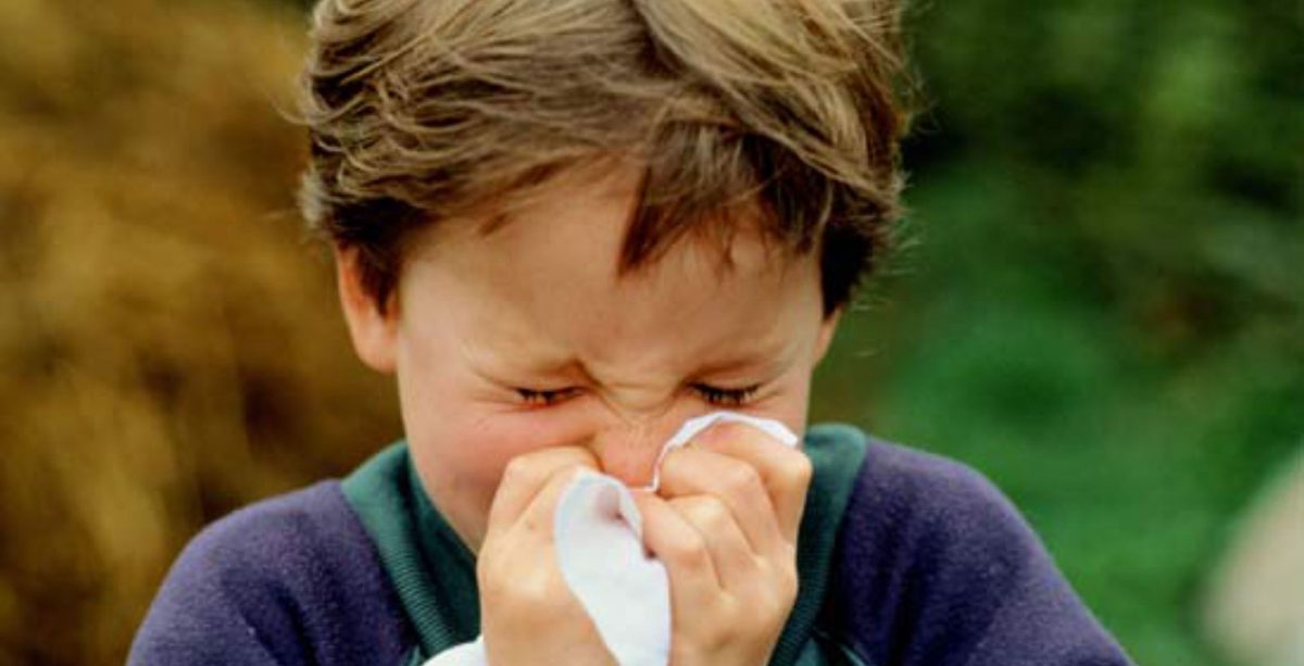 Xô, gripes e rinites! 5 receitas com gengibre para as crianças